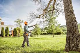 Best Grass Overseeding  in Redding, CA
